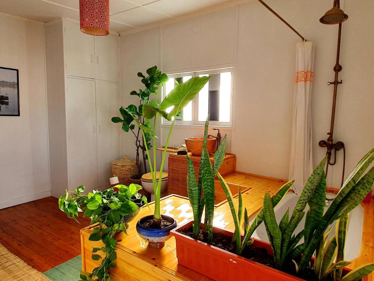 Houseboat65 - Historic Home On The Nile - Central カイロ エクステリア 写真