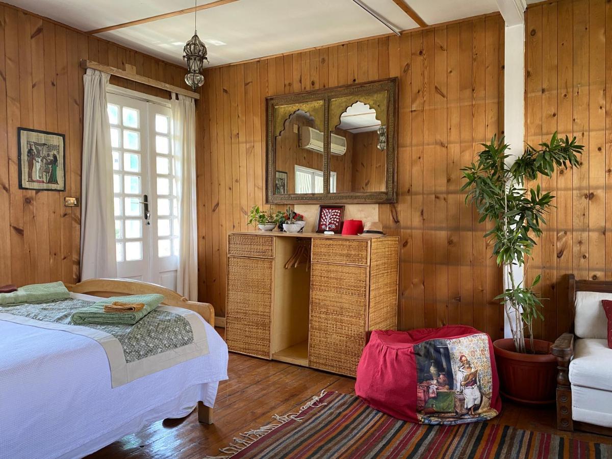 Houseboat65 - Historic Home On The Nile - Central カイロ エクステリア 写真